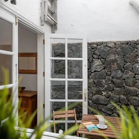 Cipreses Puerto del Carmen (Lanzarote)